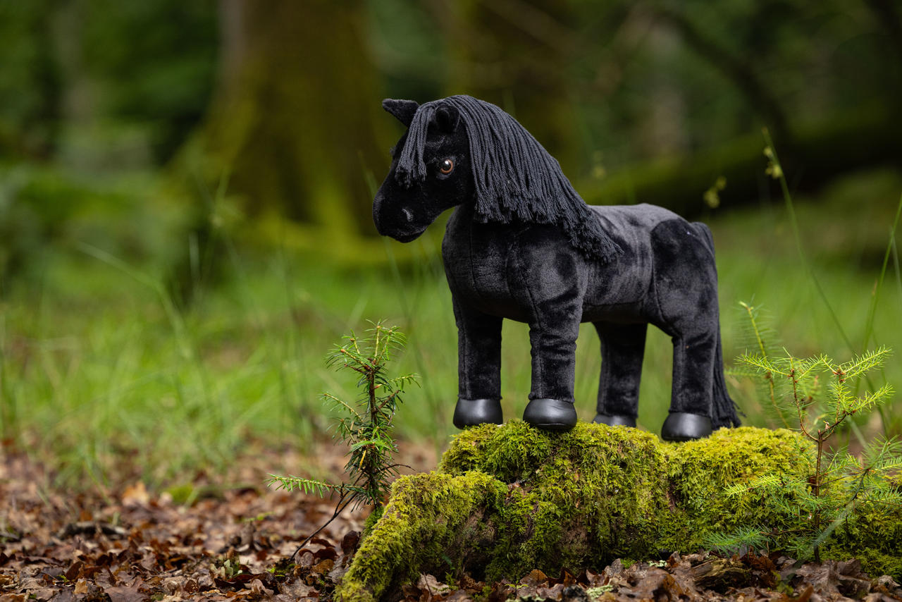 LeMieux Toy Pony