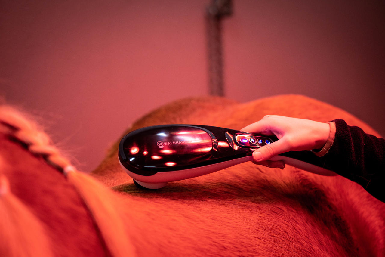 Waldhausen Health & Care Health & Care Massagegerät GO-Anywhere
