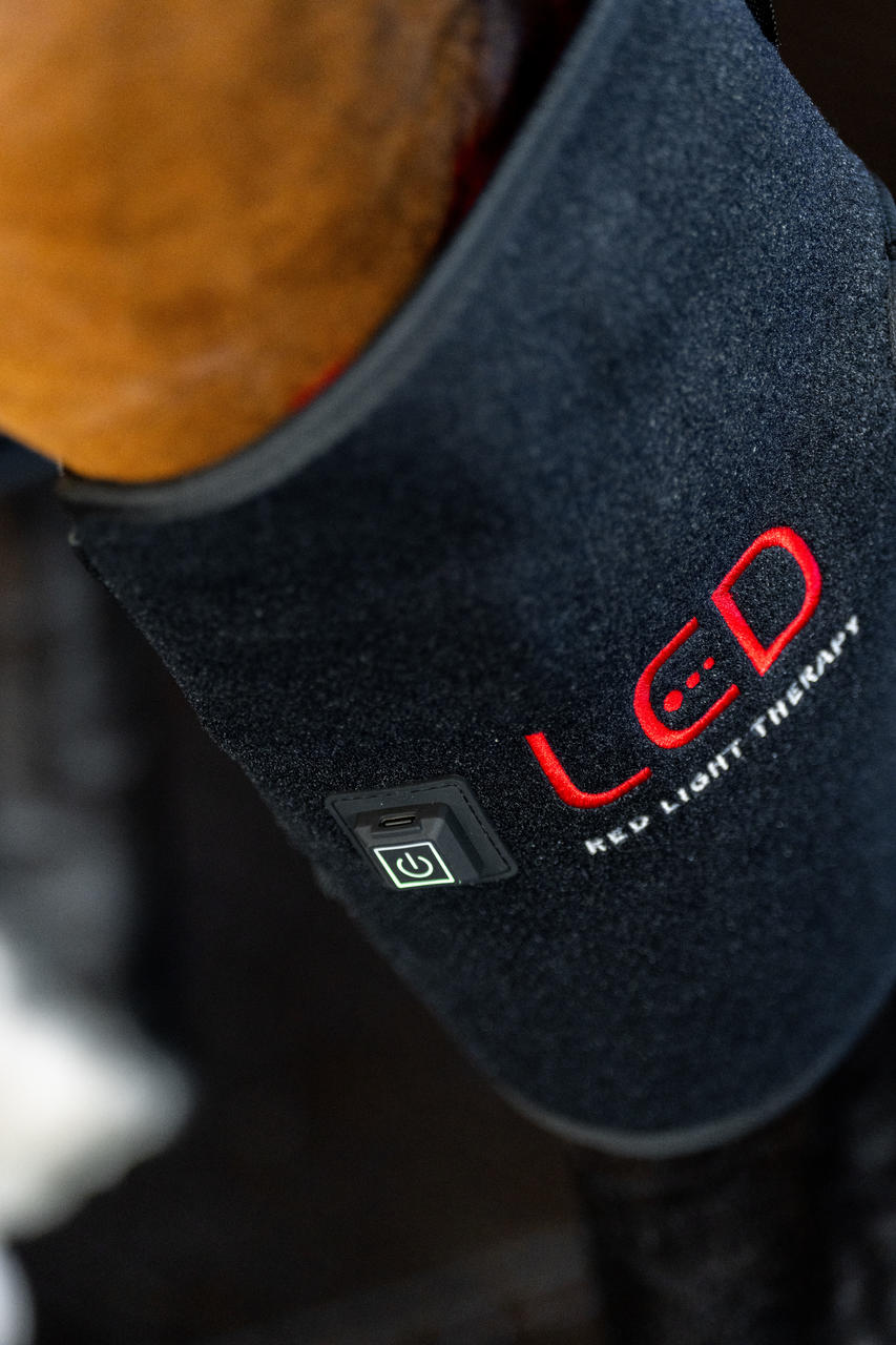 Horseware LED Red Light Therapy Hock Boot
