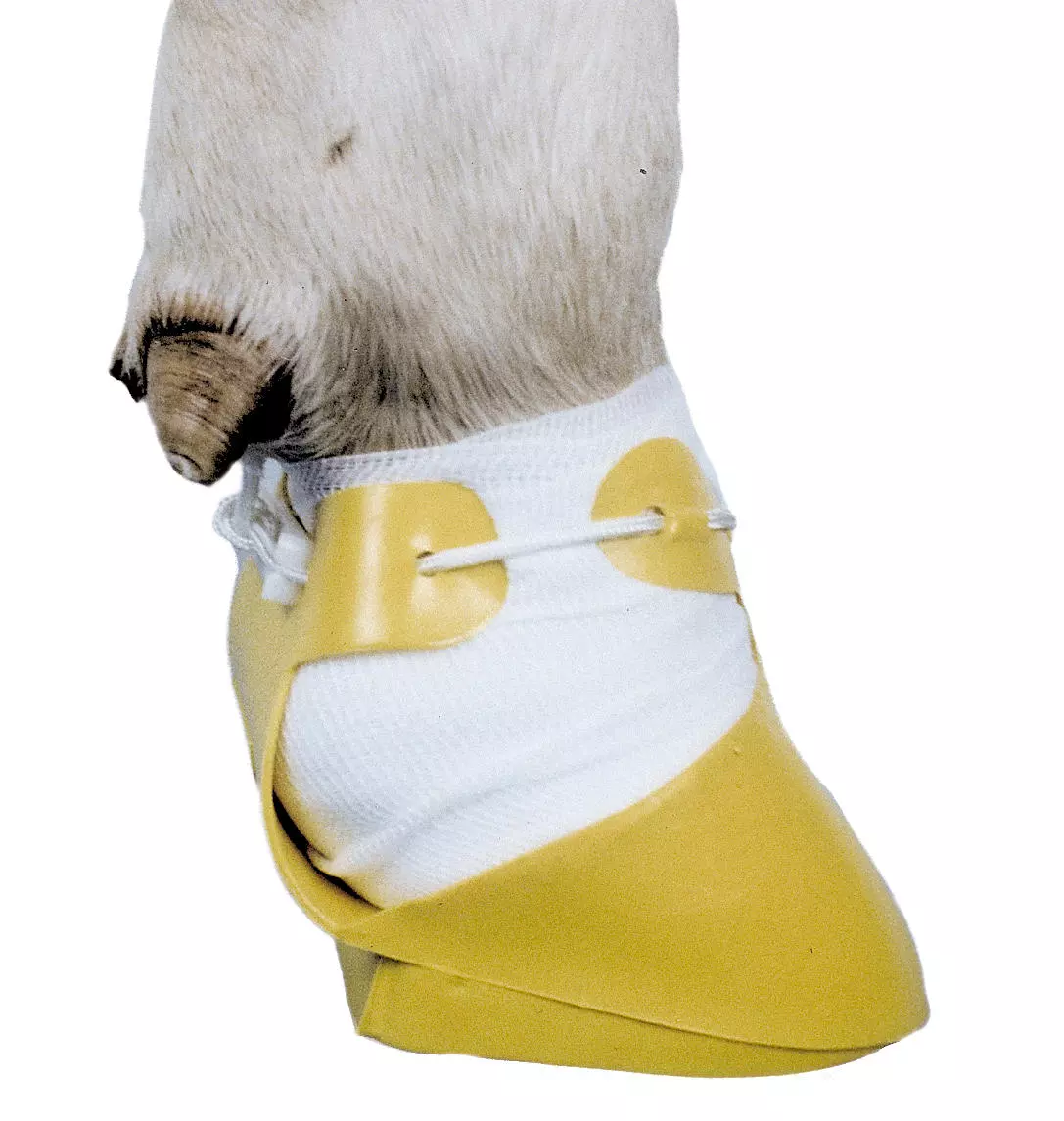 Shoof Klauenschuh - versch. Größen Shoof Klauenschuh - versch. Größen