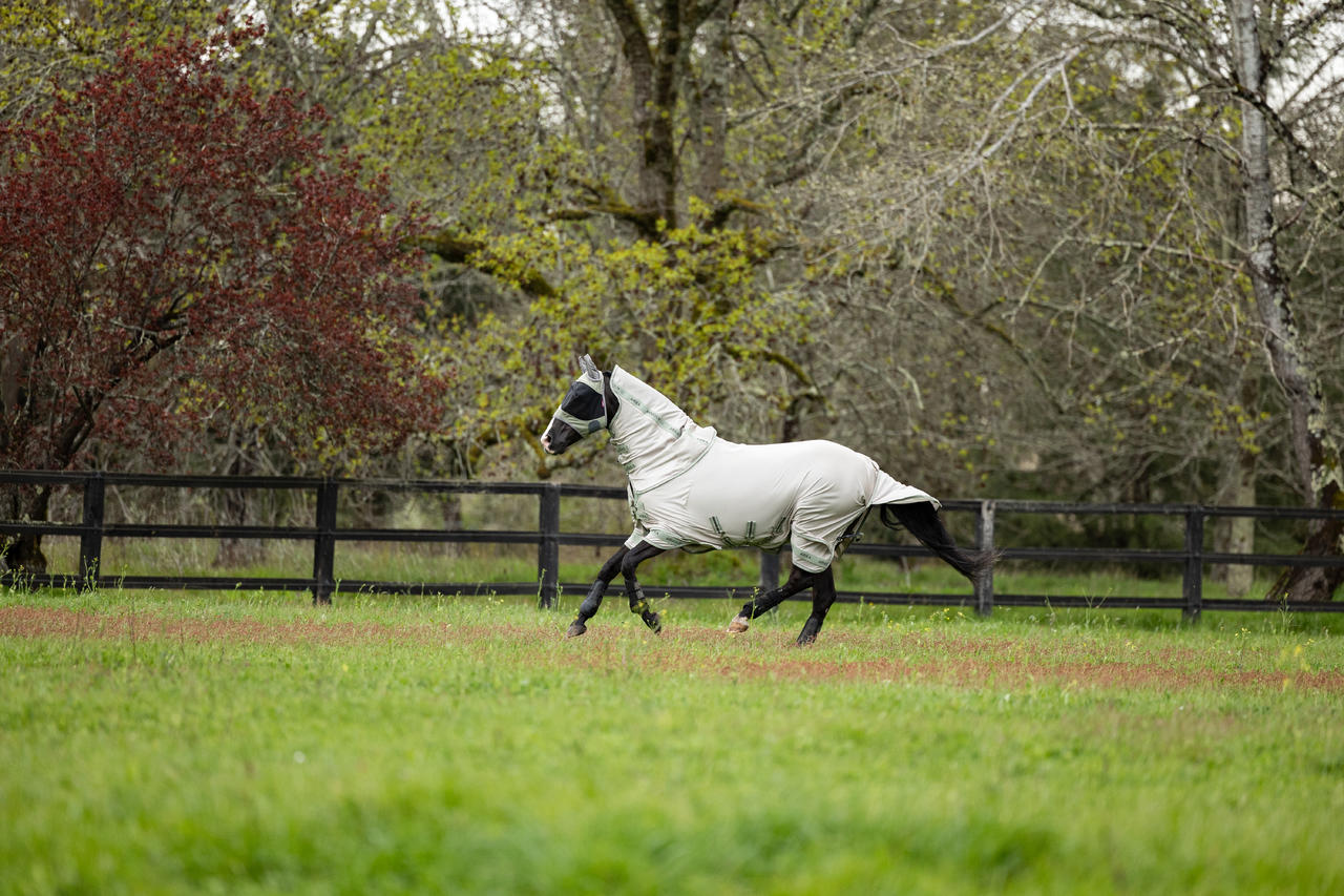 LeMieux Arika Shower-Tek Fly Rug