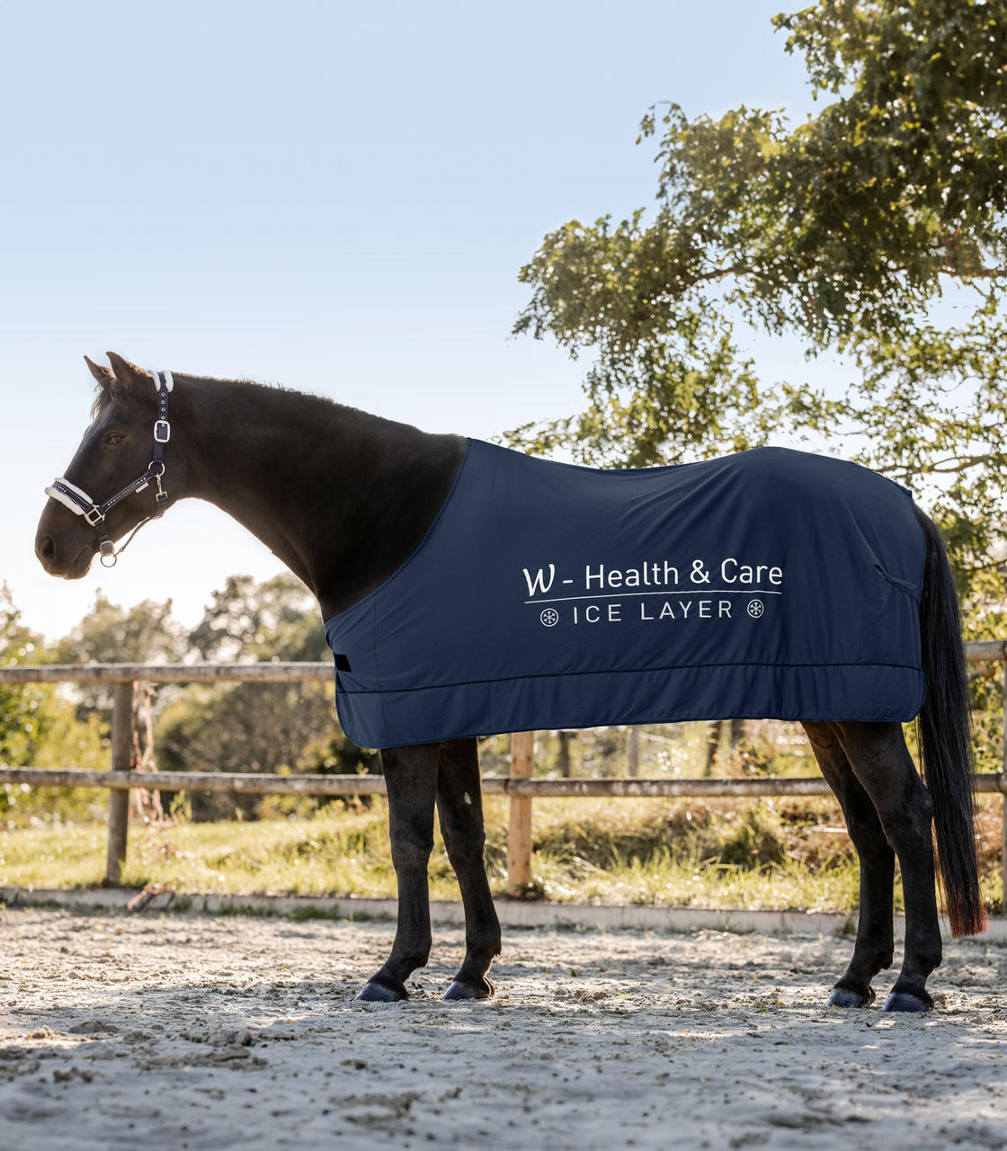 Waldhausen Health & Care W-Health & Care Ice Layer Decke