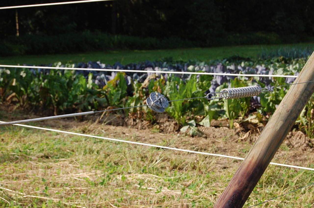 AKO Premium Horse Wire 250 m