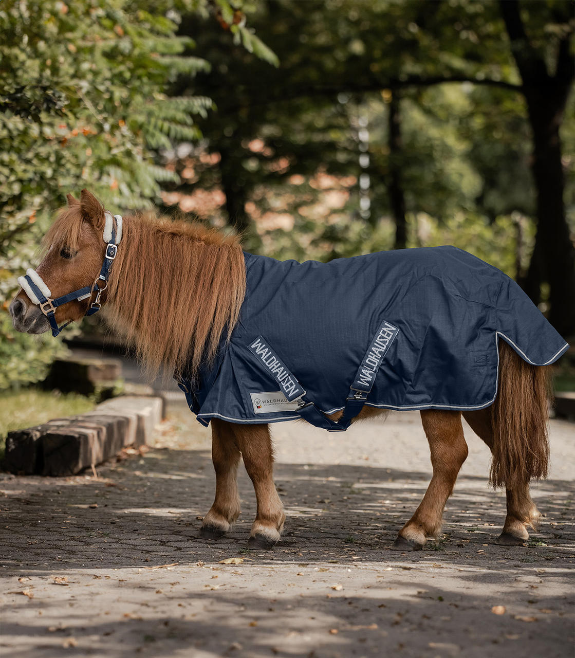 Waldhausen Shetty-Regendecke Light