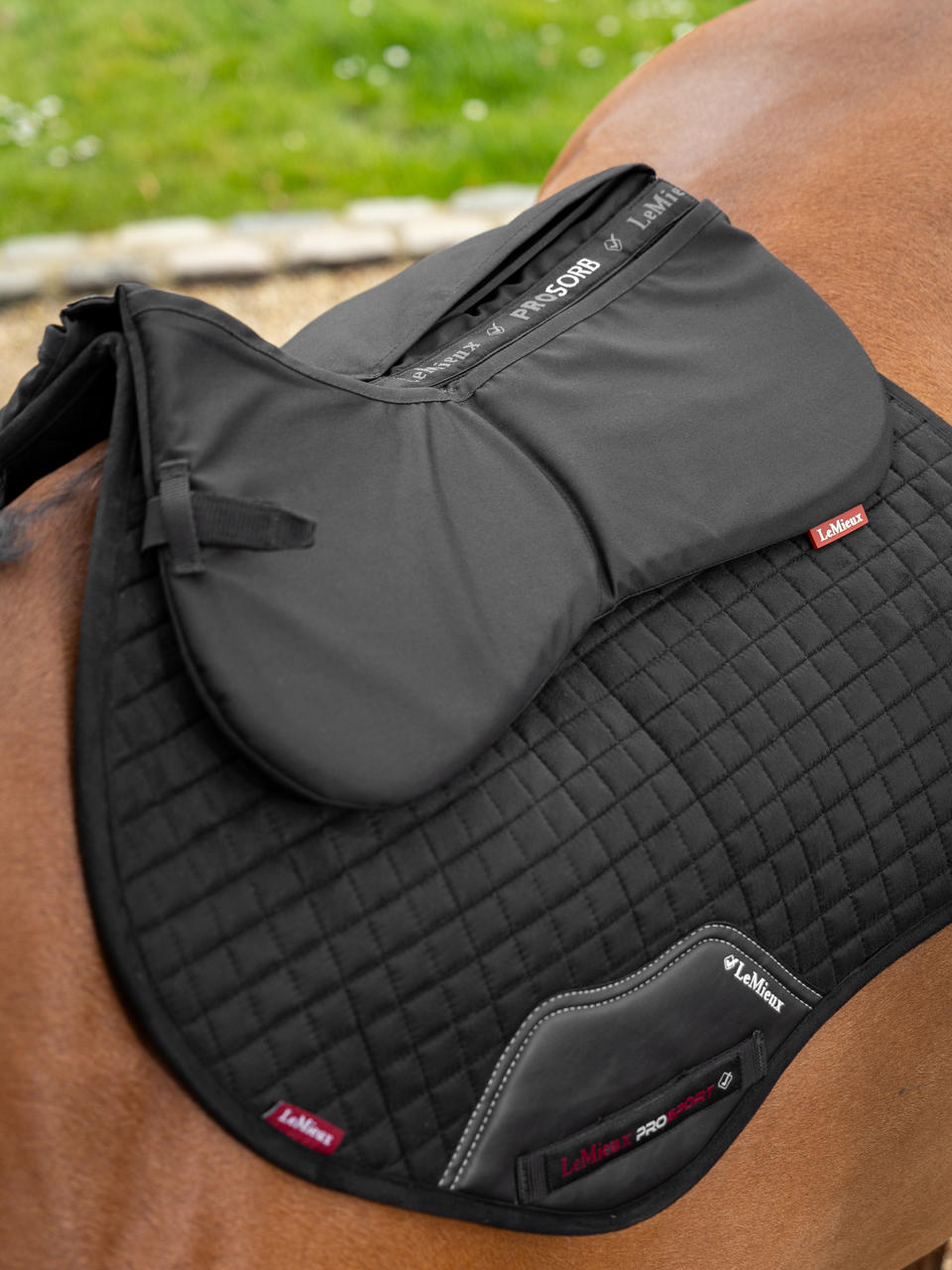 LeMieux Prosorb 2 Pocket Half Pad