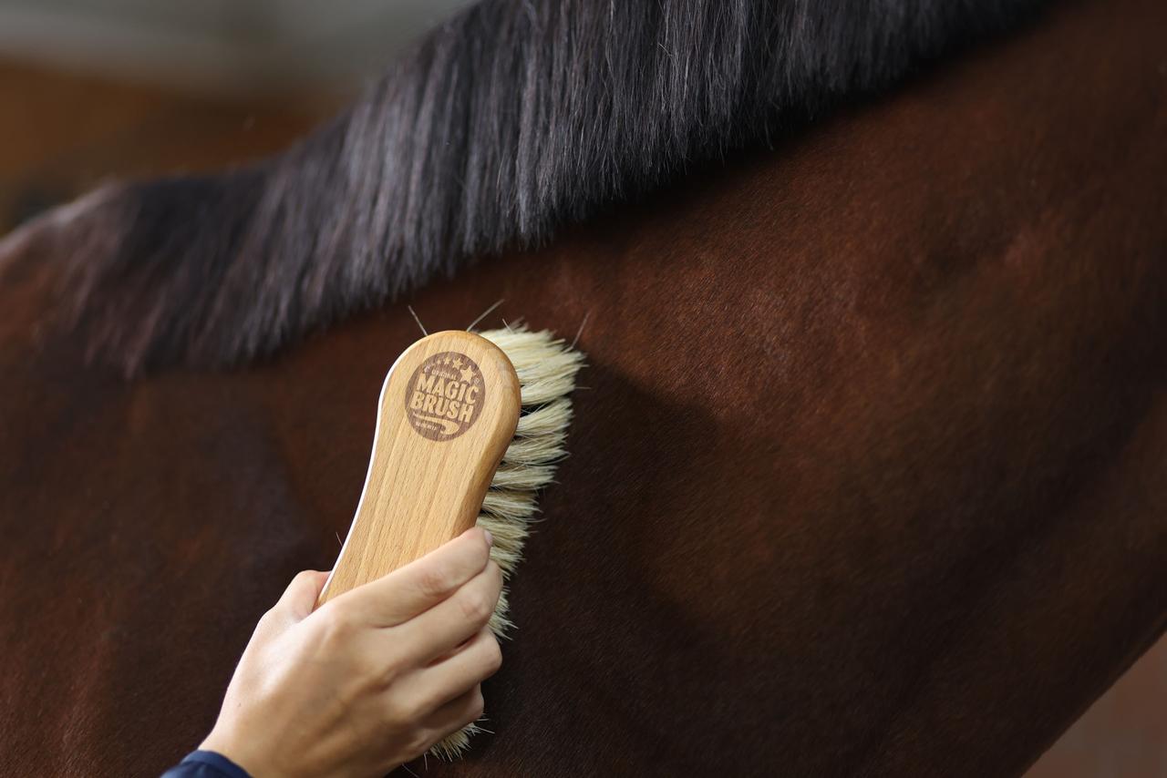 Kerbl MagicBrush Kombi-Pferdebürste