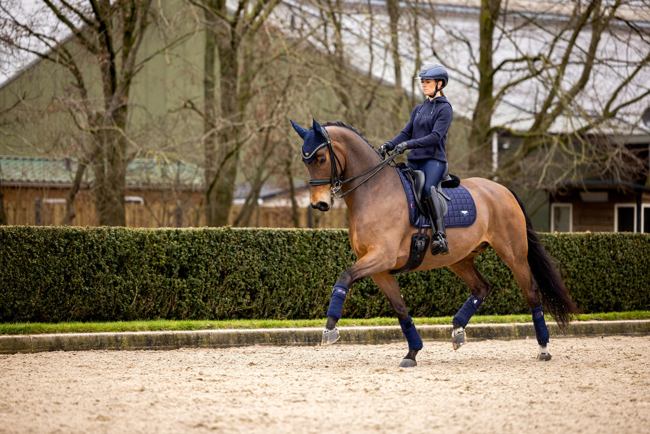 LeMieux Loire Classic Satin Dressage Square