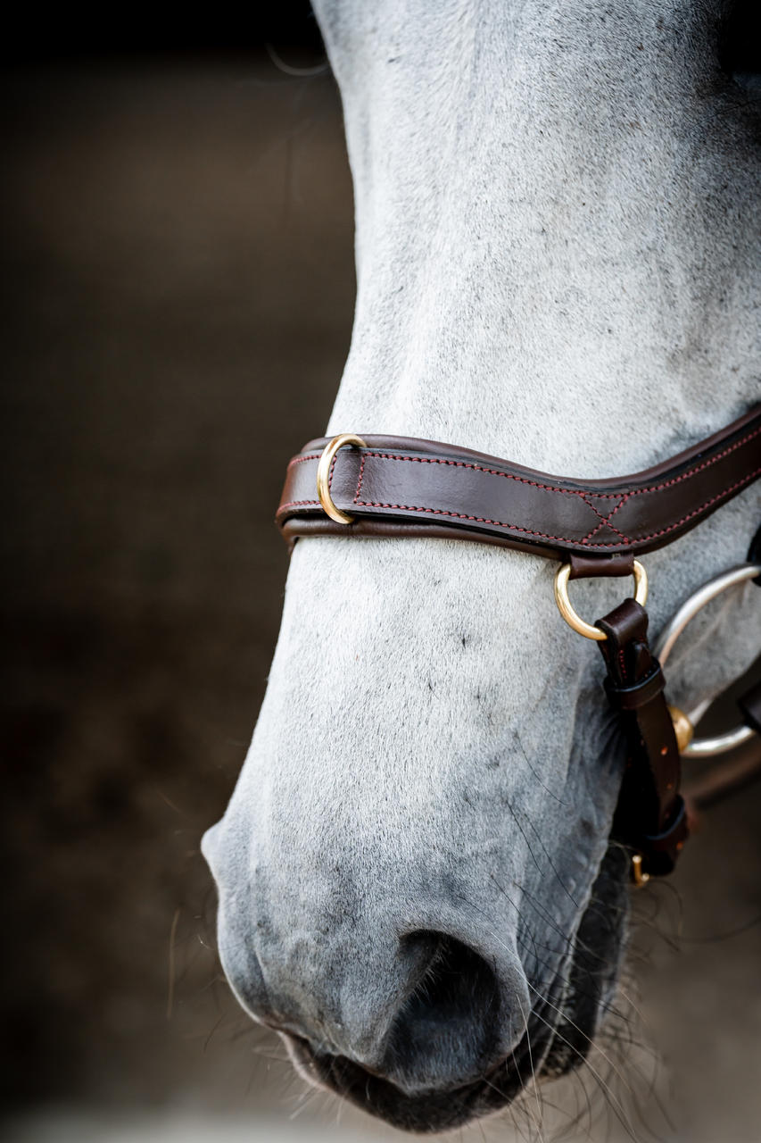 Horseware Micklem 2 Multi Bridle