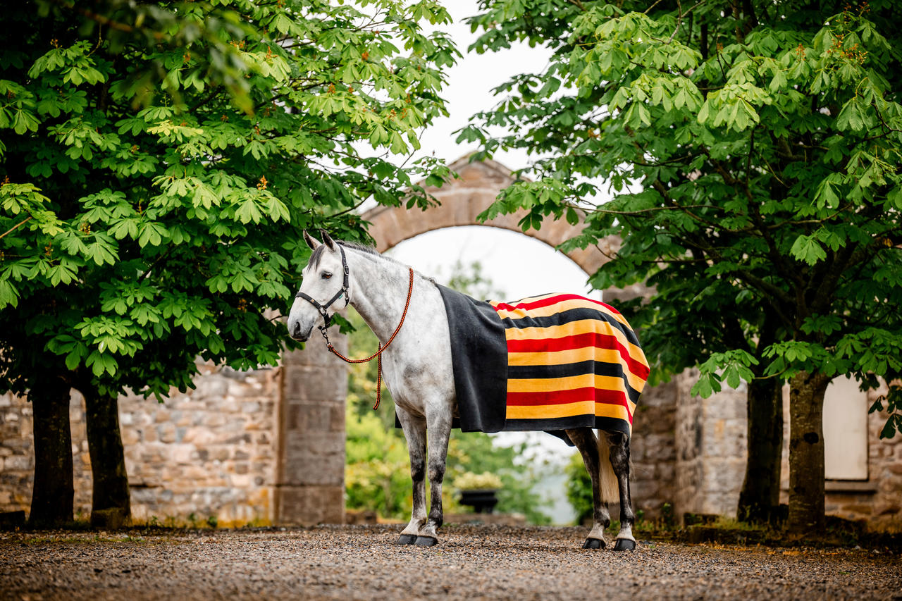 Horseware Newmarket Fleece