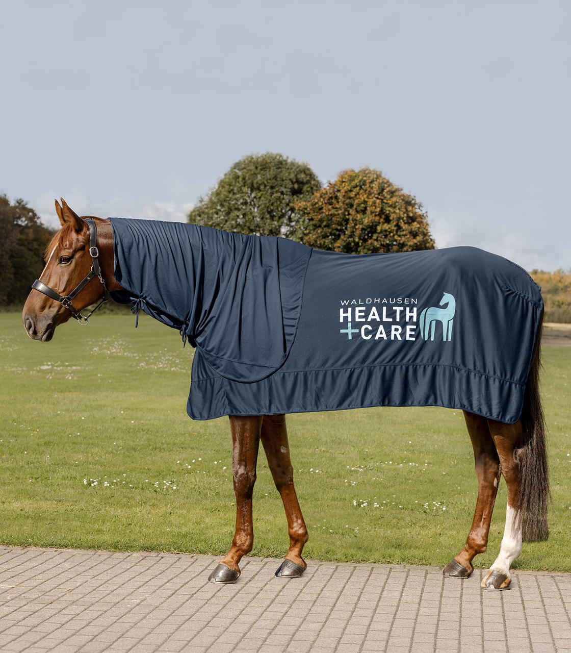 Waldhausen Health & Care W-Health & Care Ice Layer Decke