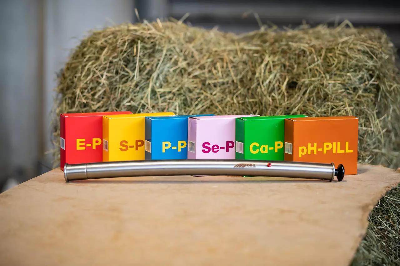 Vuxxx Se-PILL® - Packung mit 4x Pillen à 105 g
