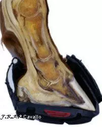 Cavallo Hufschuhe Trek Regular