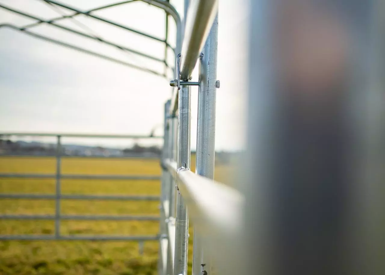 WAHL-FENCE Panel-Zelt-Set 4,0 x 7,2m - Seitenplanen