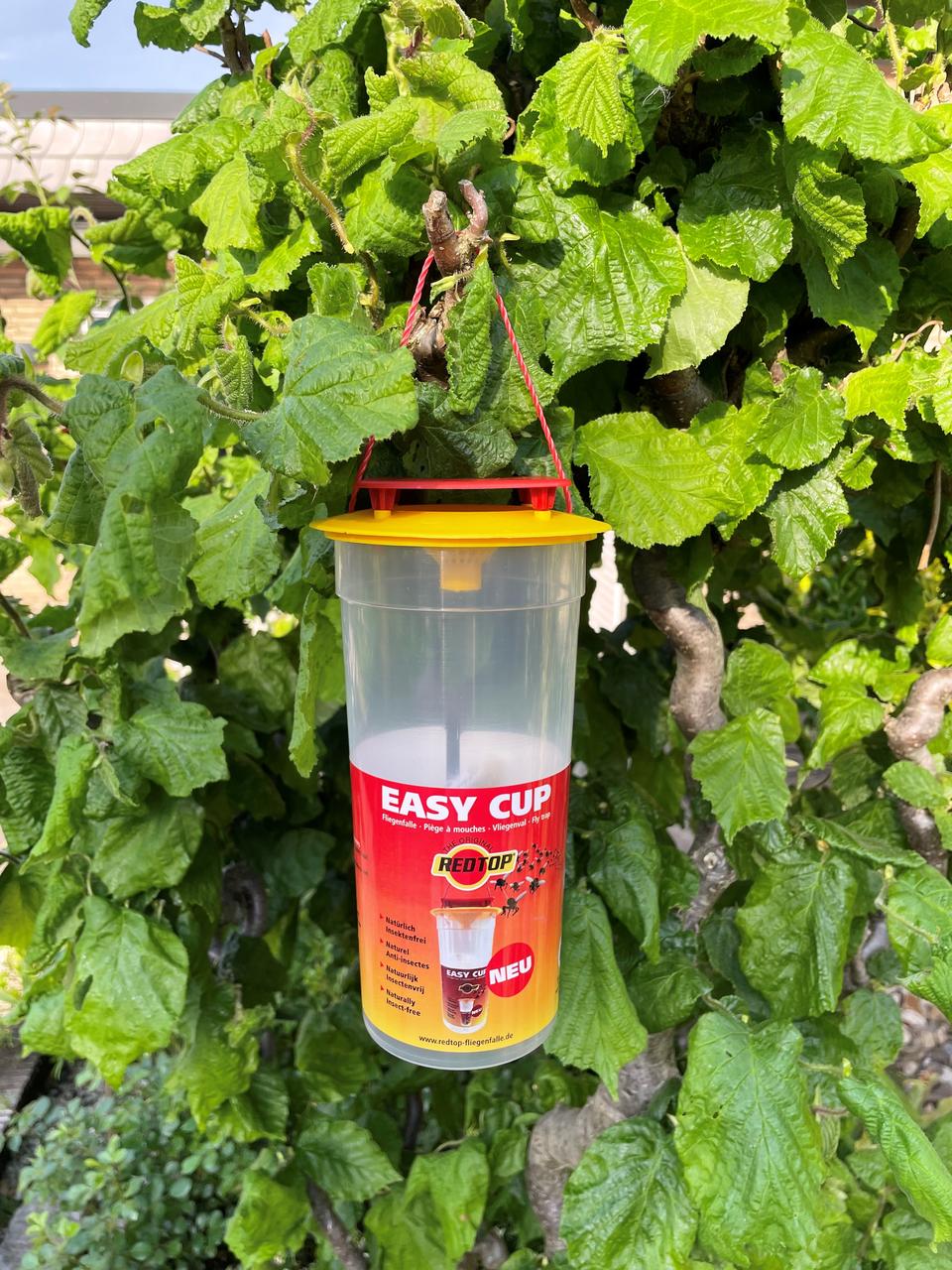 REDTOP Easy Cup Fliegenfalle