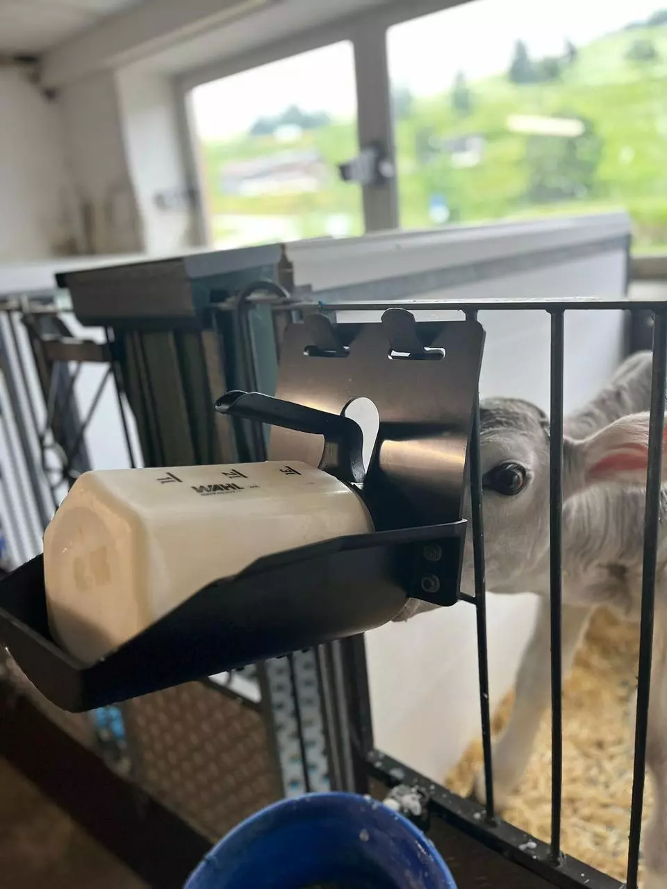 Hiko 1-CLICK Halterung für Tränkeflasche