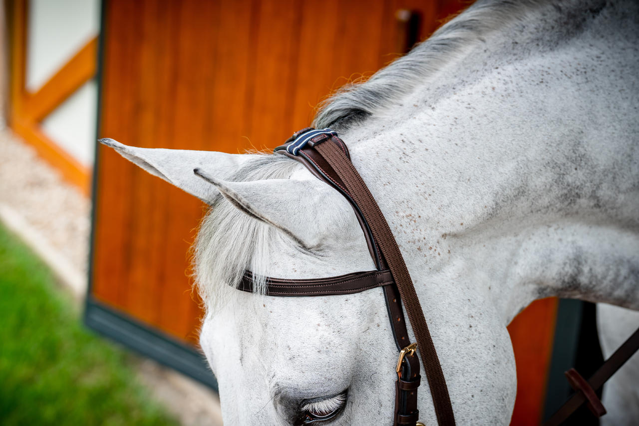 Horseware Micklem 2 Multi Bridle