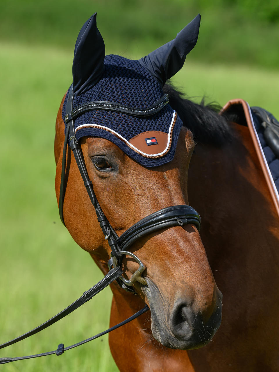 Tommy Hilfiger Princeton Fliegenhaube