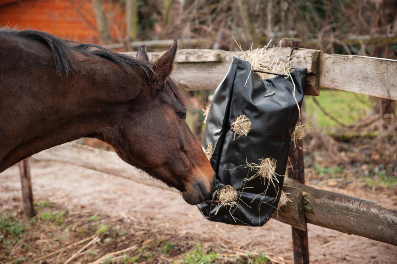 Kerbl HayBag