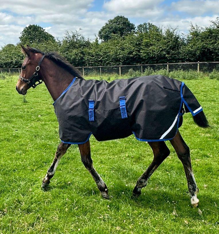 Horseware Amigo Ripstop 900D Foal Turnout 50g