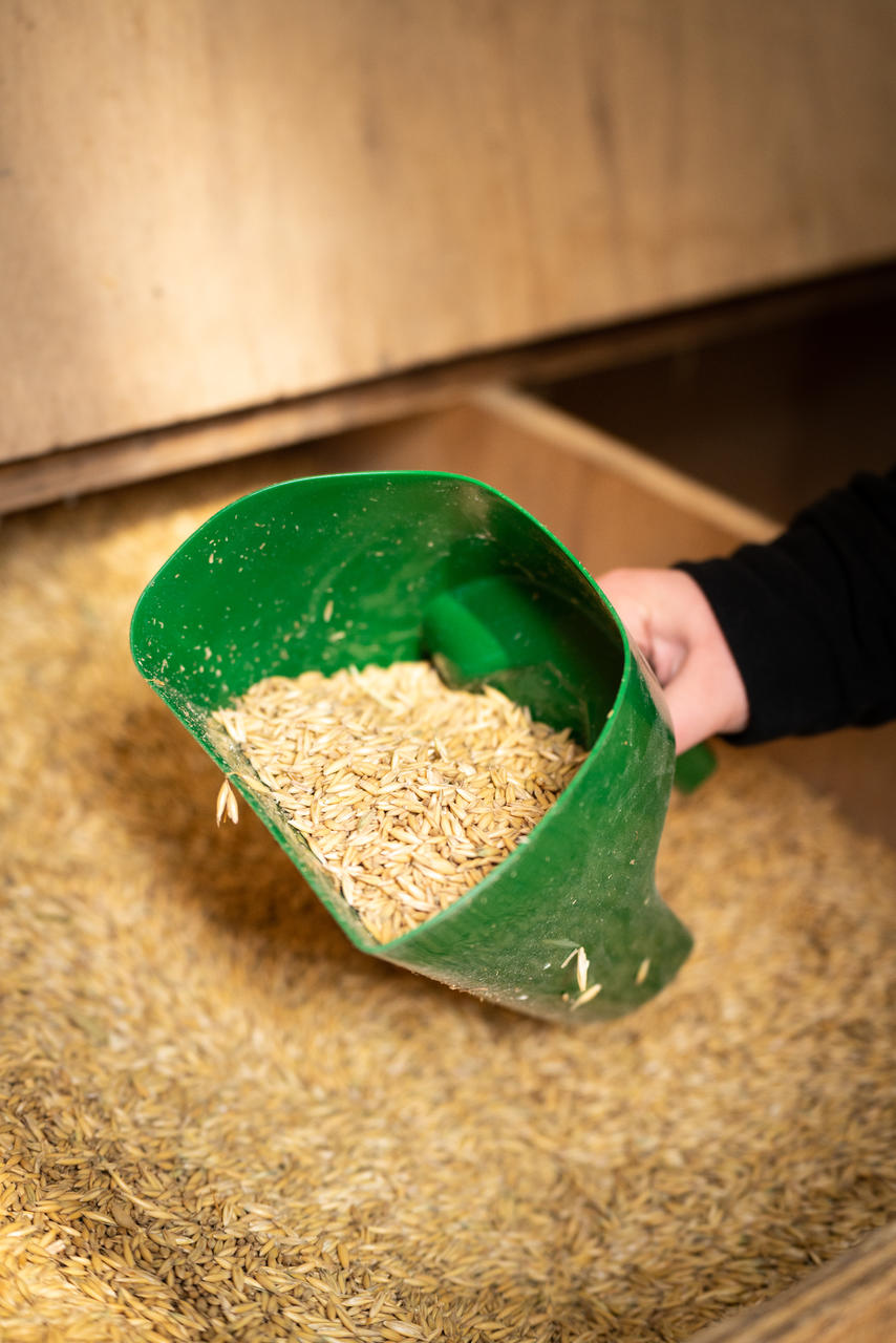 WAHL-Hausmarke Wahl Futterschaufel, 1,5 kg