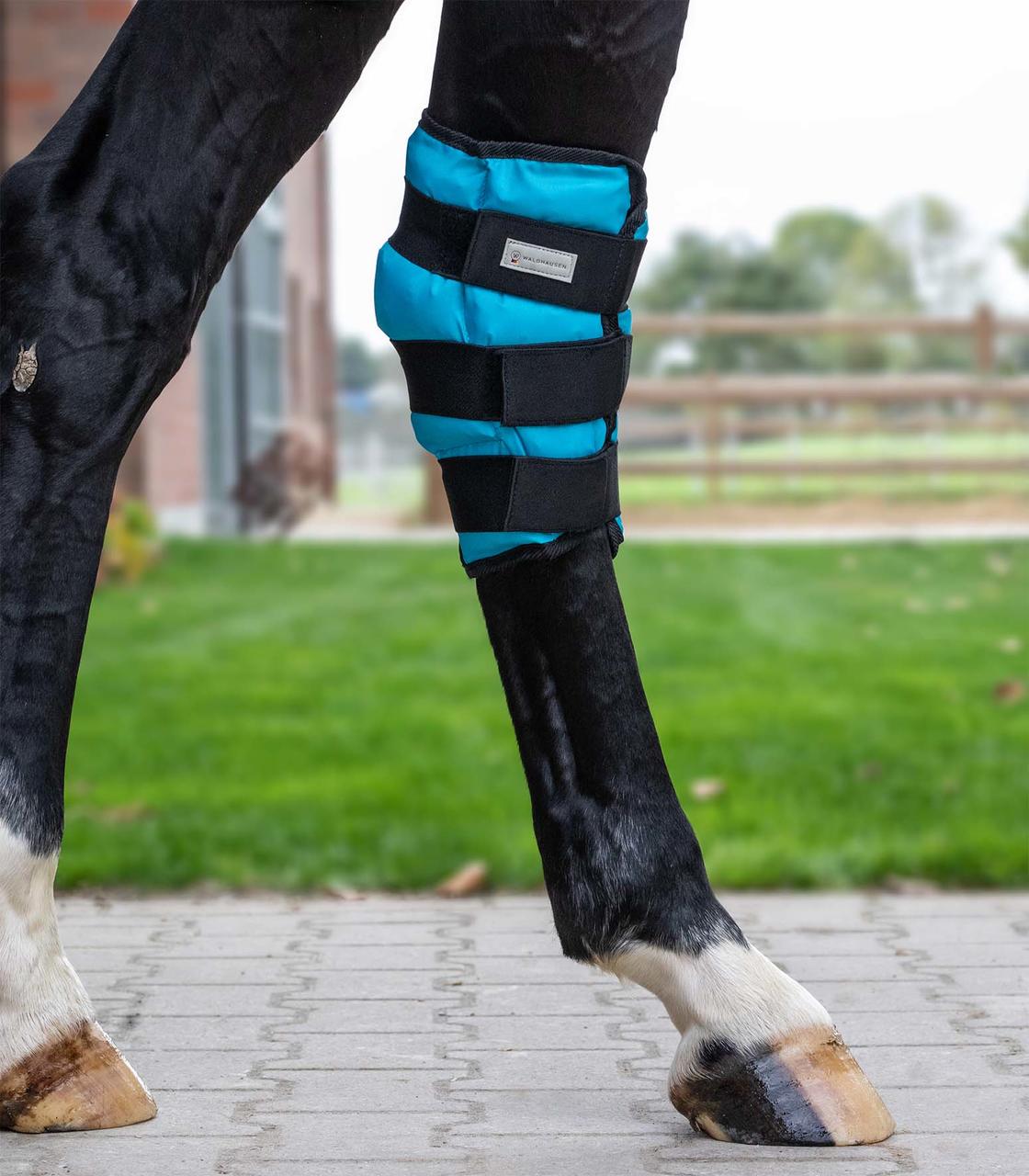 Waldhausen Health & Care Sprunggelenks Kühlgamasche Gel, Stück