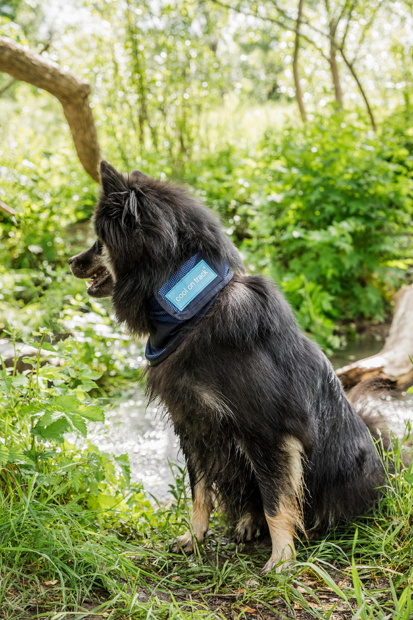 Cool on Track Cooling Bandana