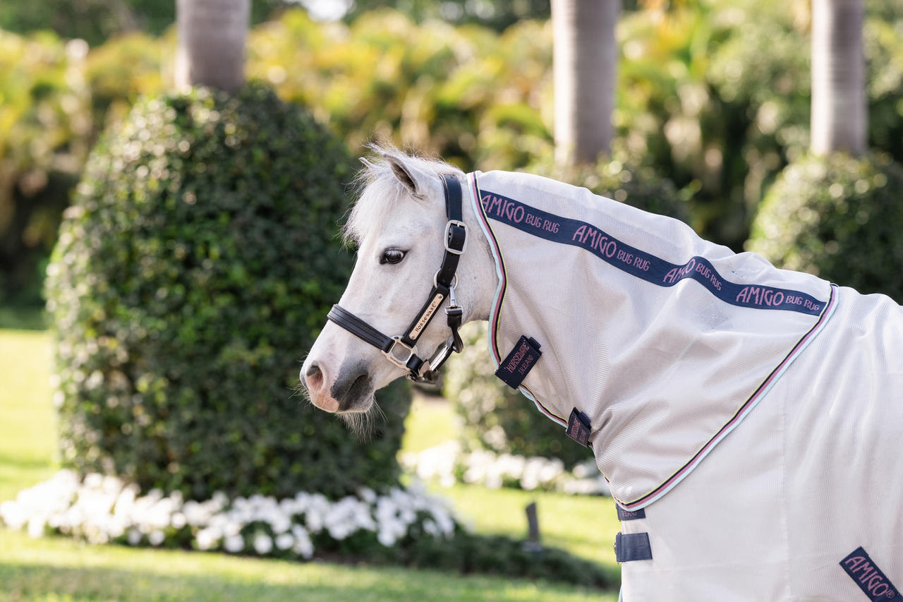 Horseware Amigo Bug Rug Plus Pony