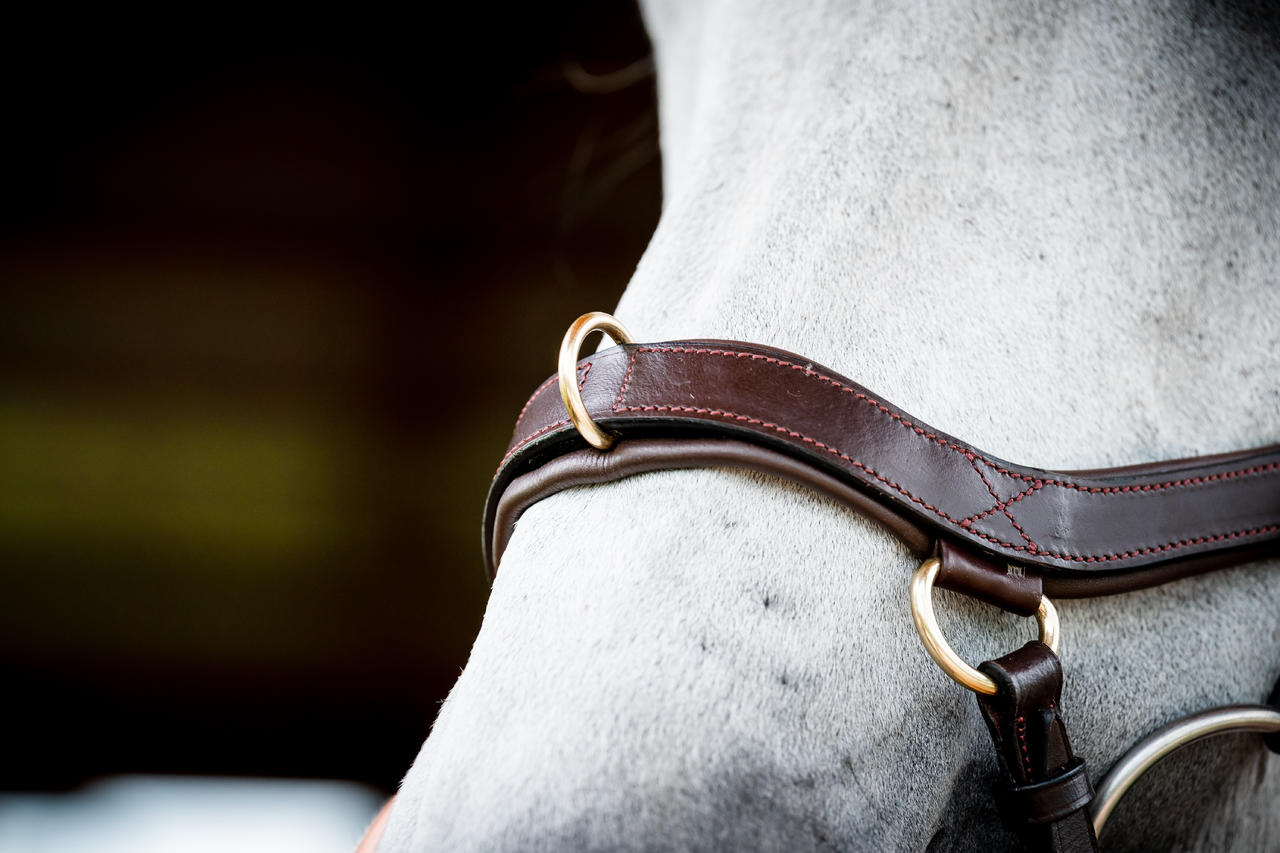 Horseware Micklem 2 Multi Bridle