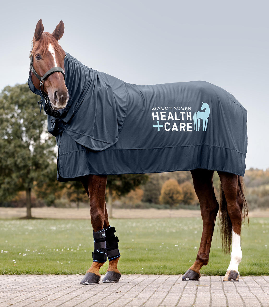 Waldhausen Health & Care Ice Layer Halsteil