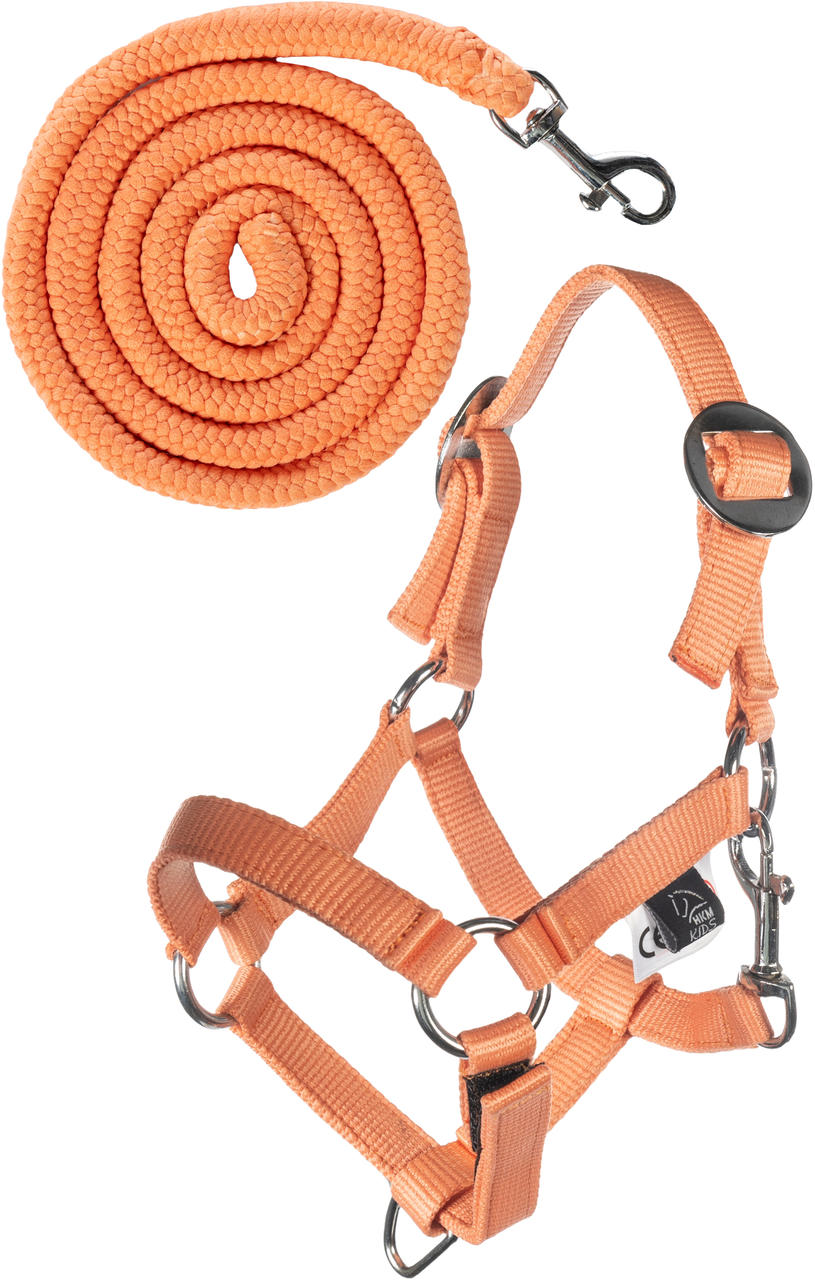 HKM Halfter und Strick -Hobby Horsing Basic-