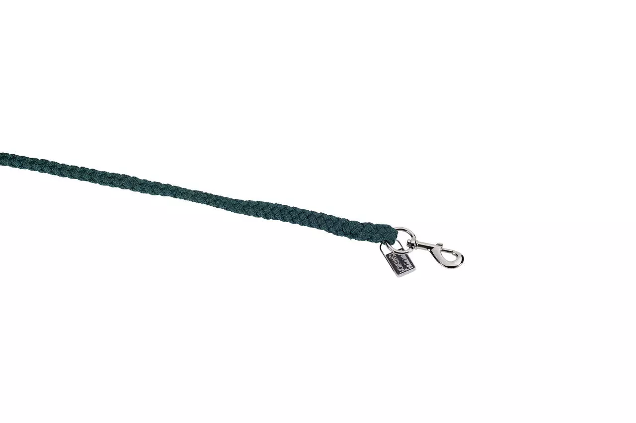 Eskadron Führstrick mit Karabiner silber