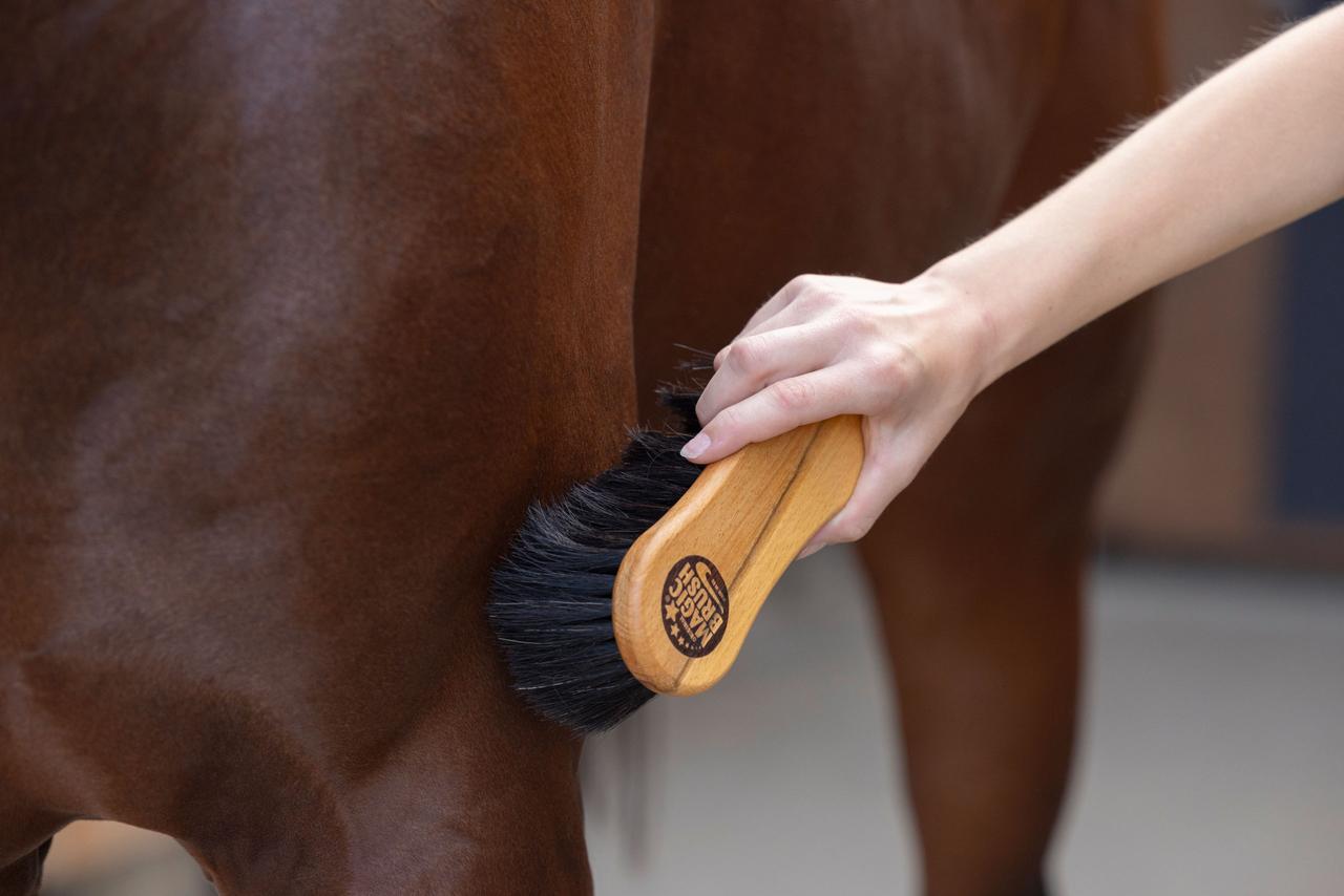Kerbl MagicBrush Reinigungsbürste grob