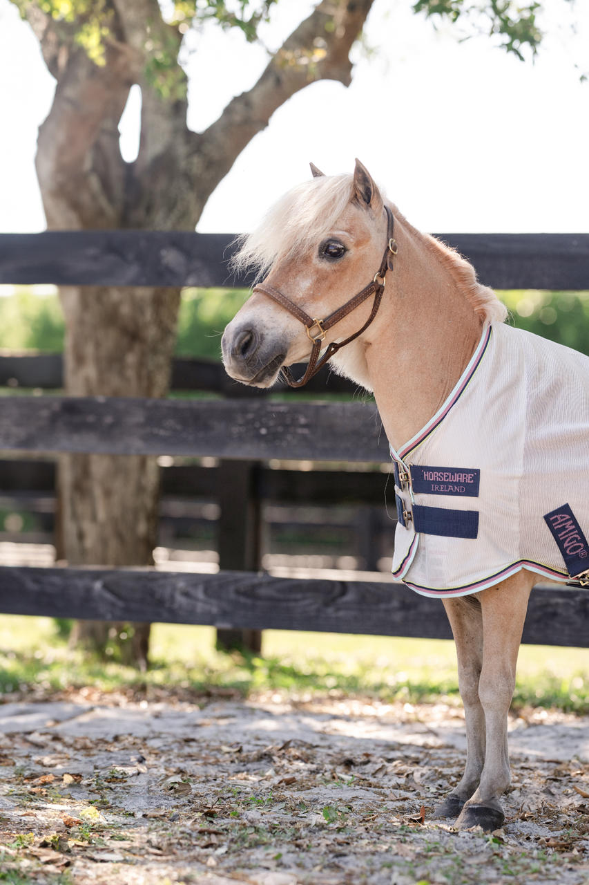 Horseware Amigo Bug Rug Plus Petite