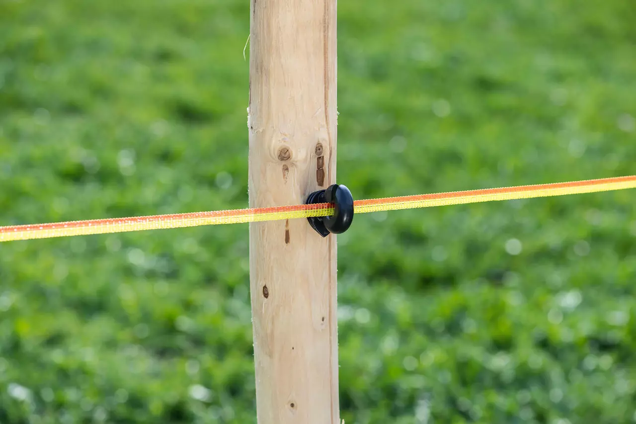 WAHL-FENCE Weidezaunband - BASIC - 10 mm / 200 m
