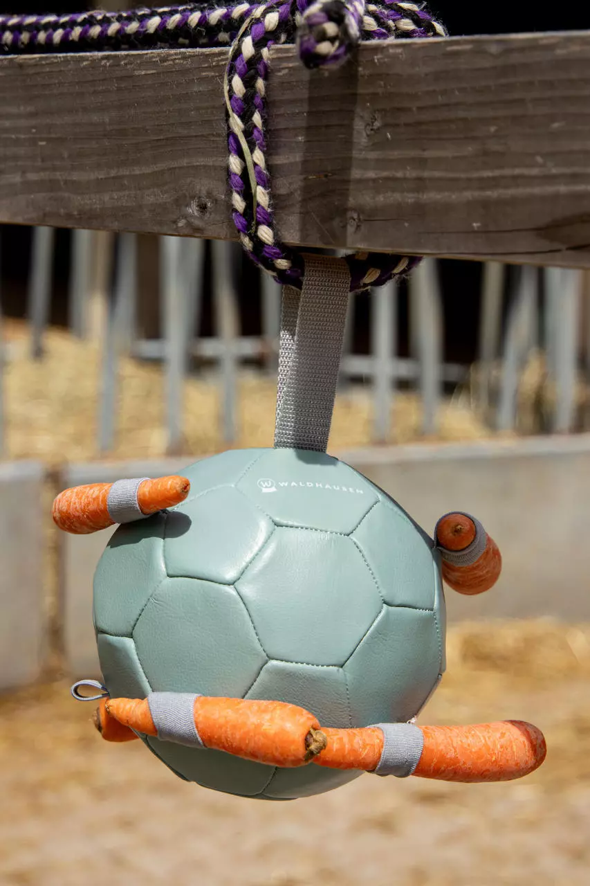 Waldhausen Karottenball