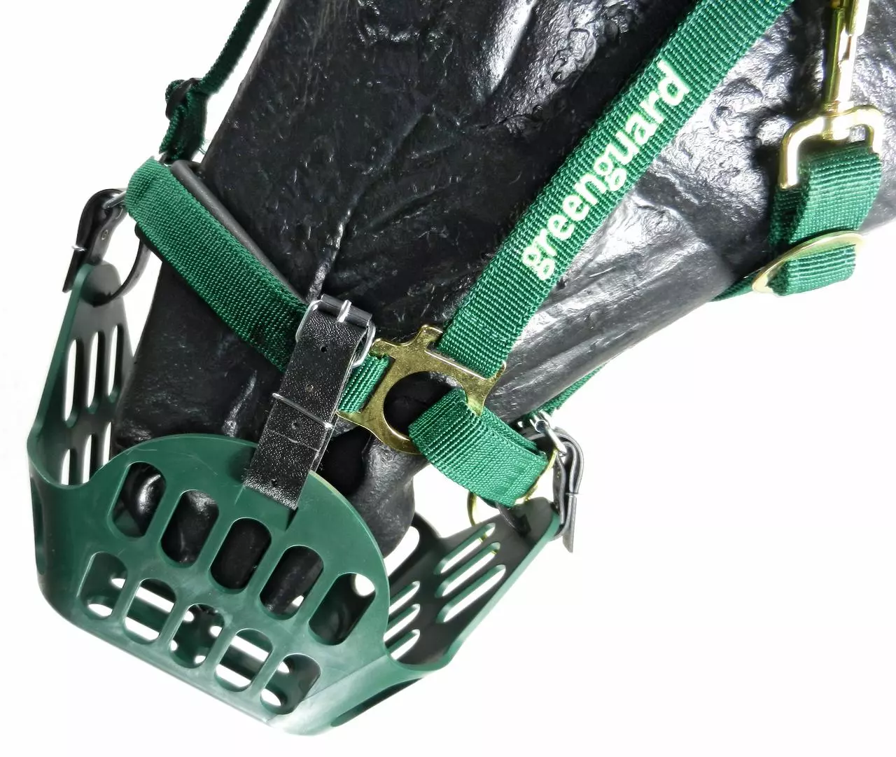 greenguard Maulkorb Fressbremse