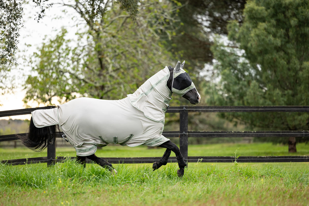 LeMieux Arika Shower-Tek Fly Rug