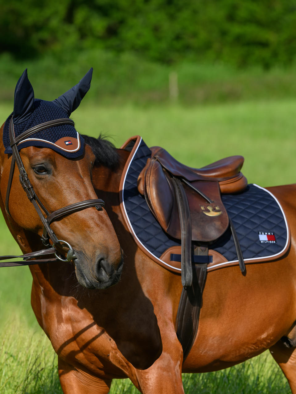 Tommy Hilfiger Princeton Fliegenhaube