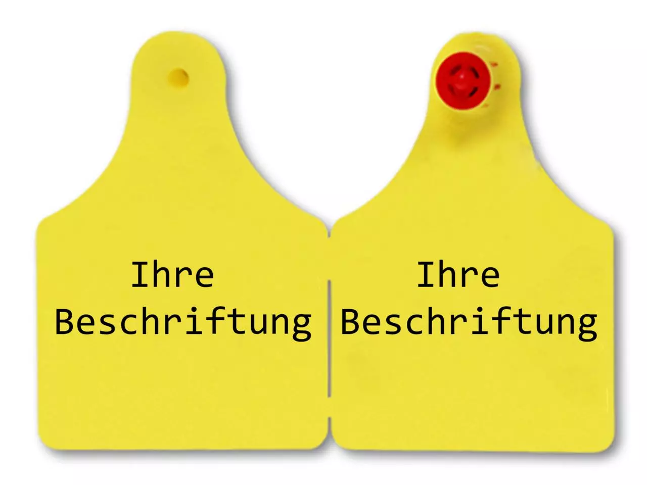 Caisley FLEXOPLUS - Ohrenmarke D/D 25 Stück Caisley FLEXOPLUS - Ohrenmarke D/D 25 Stück