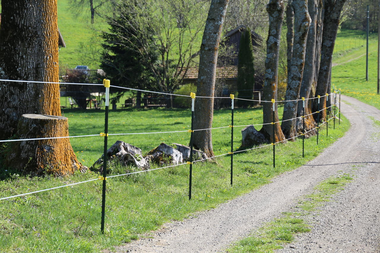 WAHL-FENCE Weidezaunseil - ULTRA - 6 mm / 500 m