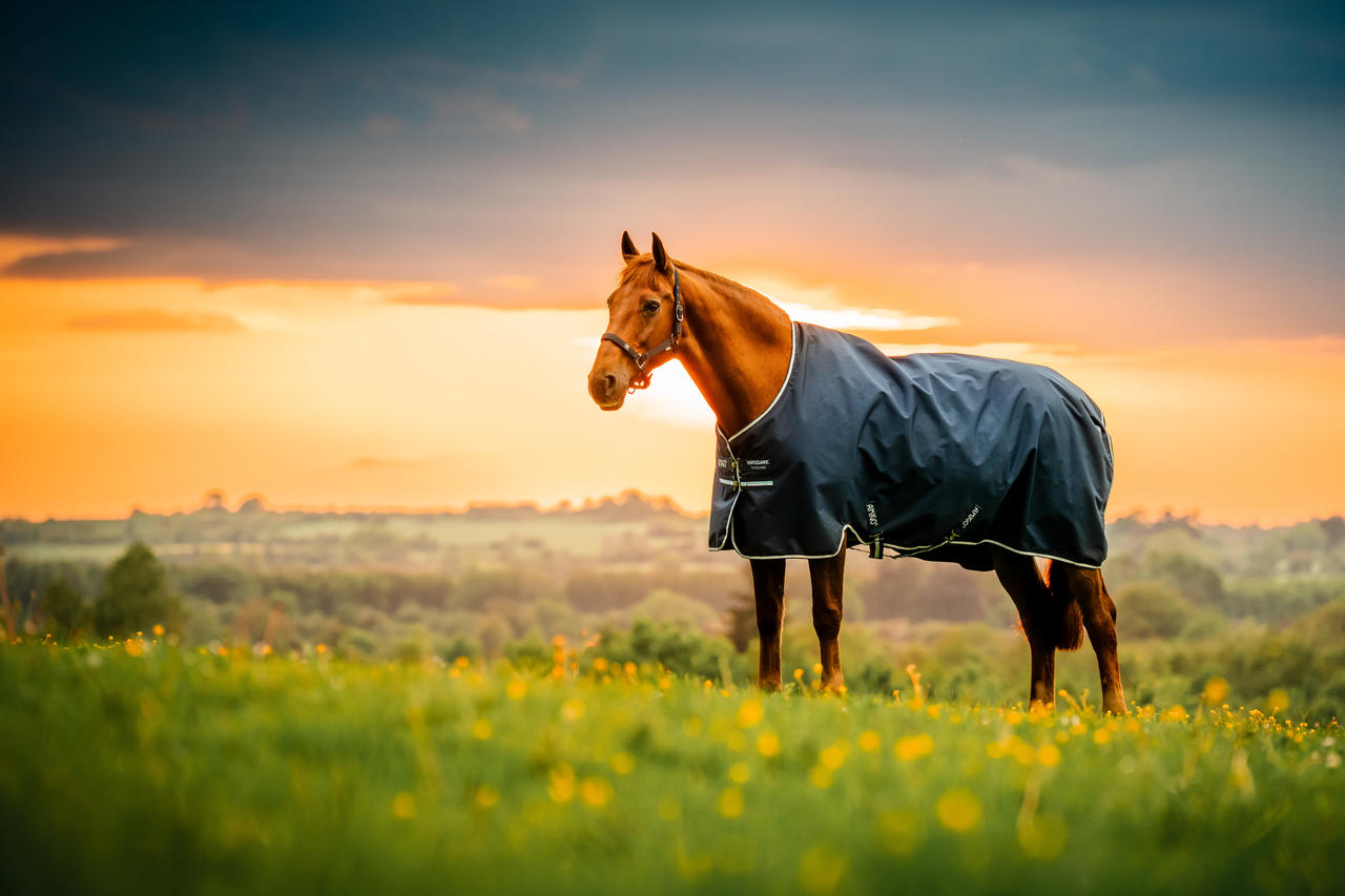 Horseware Amigo Ripstop 900D Pony Turnout 100g
