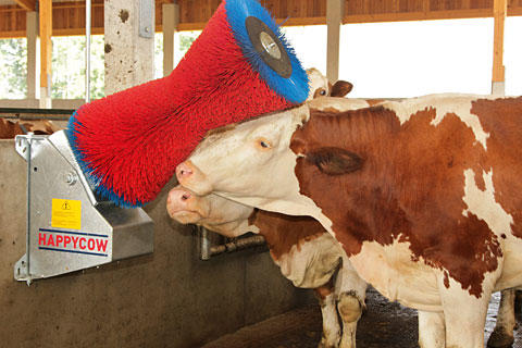 Kerbl Kuhputzmaschine HAPPYCOW Uno, PA-Bürsten