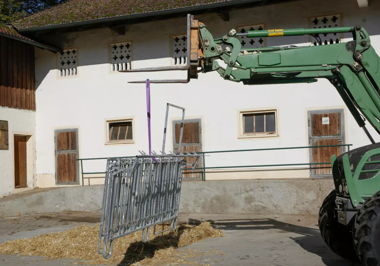 Kerbl CalfHouse Premium XXL ohne Umzäunung