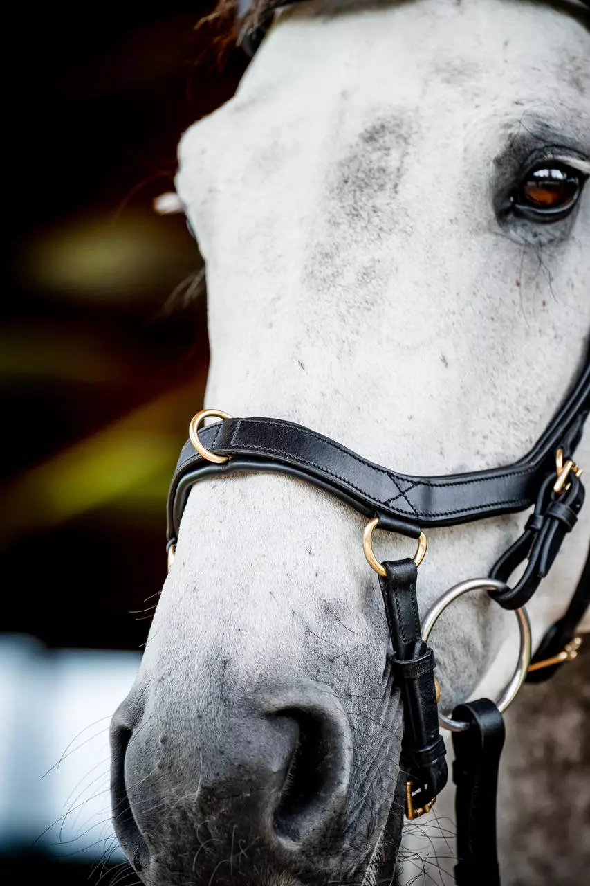 Horseware Micklem 2 Multi Bridle
