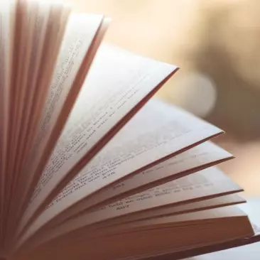Bücher Bücher