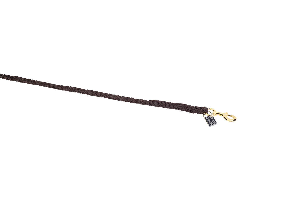 Eskadron Führstrick mit Karabiner gold