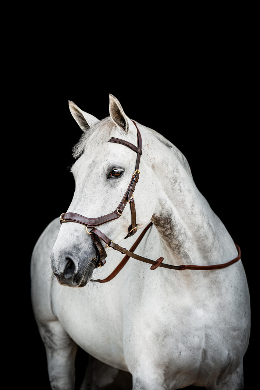 Horseware Micklem 2 Multi Bridle