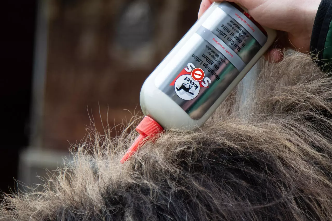 leovet SOS Hautpflege Lotion leovet SOS Hautpflege Lotion