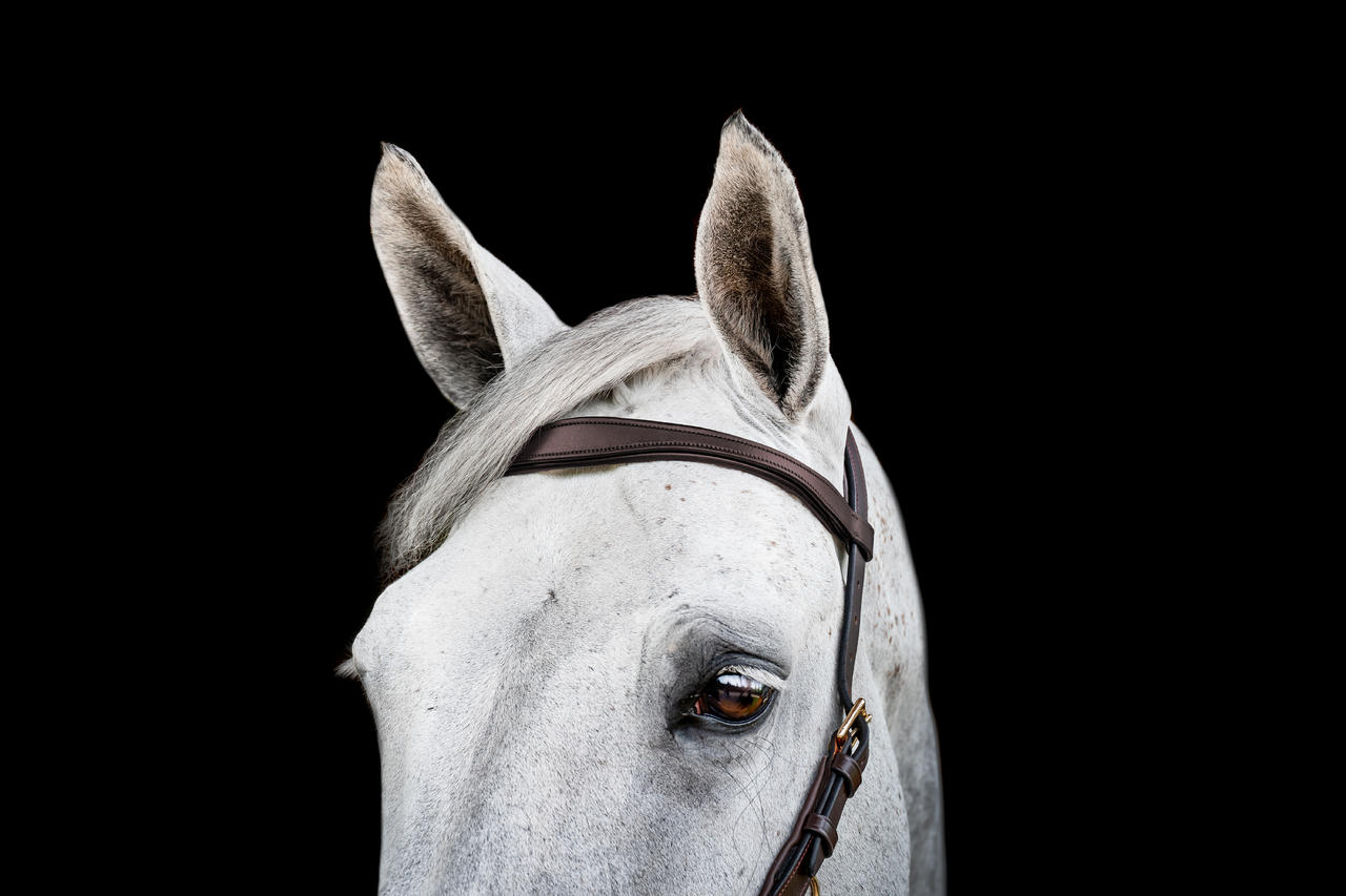 Horseware Micklem 2 Multi Bridle