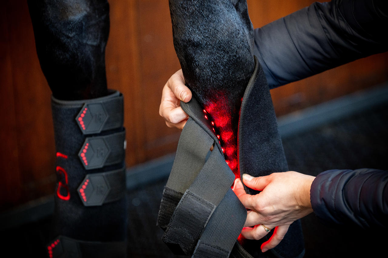 Horseware LED Red Light Therapy Leg Wrap
